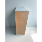 Kép 2/3 - Irattartó szekrény Fr-309